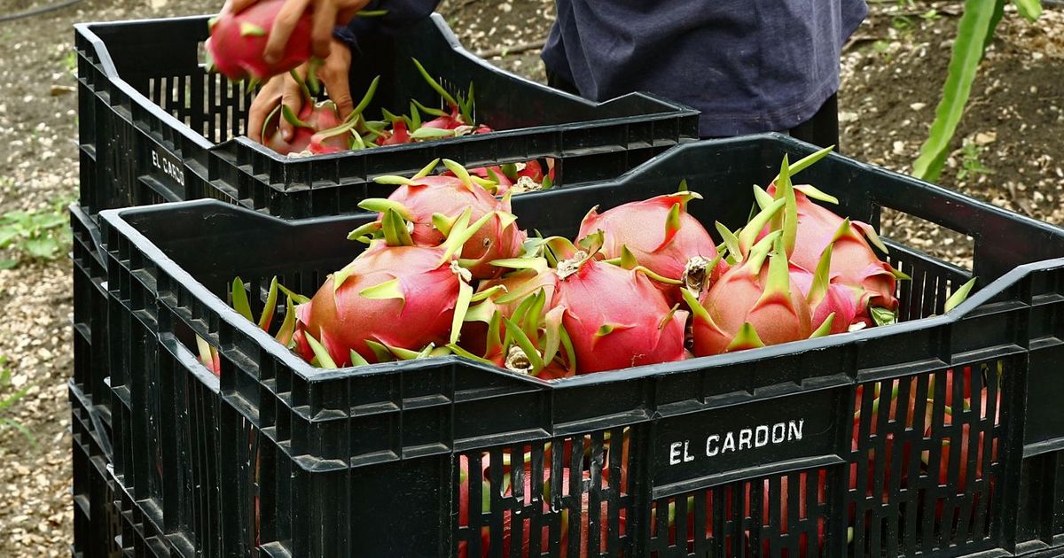 Se reajusta el mercado laboral con una tasa de desempleo de 4,2%