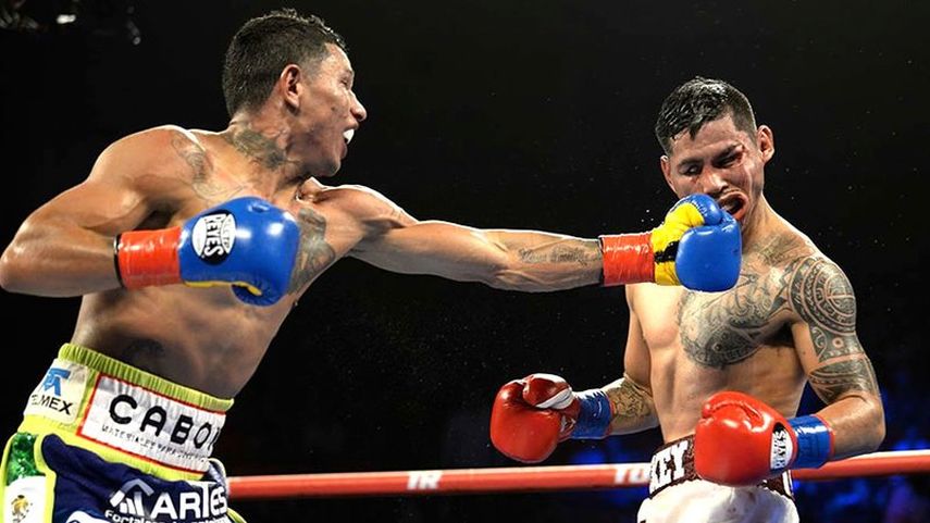 Miguel Berchelt&nbsp;anzó siete golpes a la cara sin recibir respuesta de Román, por lo que el árbitro, el estadounidense Jon Schorle, detuvo la pelea.