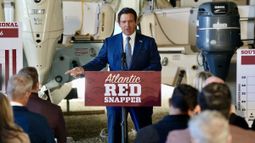 Ron DeSantis, gobernador de Florida. Ron DeSantis, gobernador de Florida.