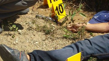 De acuerdo con la policía, en el sitio en donde se perpetró la masacre fueron abandonados dos vehículos que estaban siendo cargados con combustible procedente de Venezuela