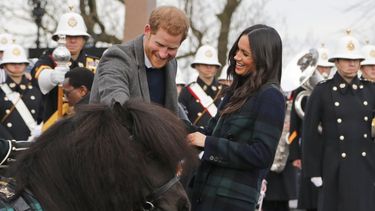Harry de Inglaterra y su esposa Meghan Markle, conocen un pony Shetland al llegar al Castillo de Edimburgo el martes 13 de febrero del 2018, en Edimburgo, Escocia. 