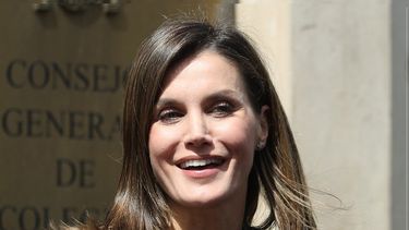 La Reina Letizia saluda a la salida de la Organización Médica Colegial, donde ha asistido hoy a la II Jornada sobre Tratamiento Informativo de la Discapcidad en Redes Sociales. 