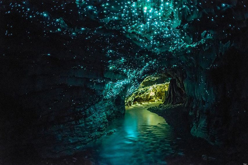 Cuevas-de-Waitomo-Glowworm-Nueva-Zelanda.jpg