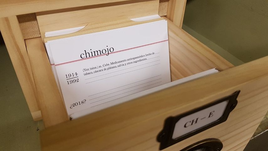 La antigua cámara acorazada de la Caja de las Letras del Instituto Cervantes de Madrid se abre al público, desde este martes 4 de junio al domingo 29 de septiembre, con la exhibición 1914-2014. MartaPCampos.