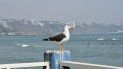 Foto referencial de la costa en Perú. Foto referencial de la costa en Perú.