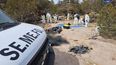 El equipo de investigación criminal trabaja en la exhumación de cadáveres en las fosas comunes encontradas en la zona norte de México, cerca de la frontera de Estados Unidos.