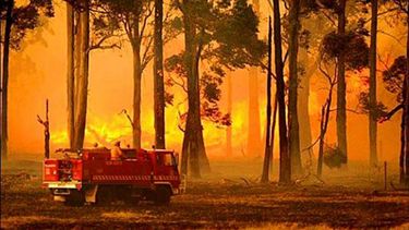 Un incendio forestal en Cuba. FOTO DE ARCHIVO