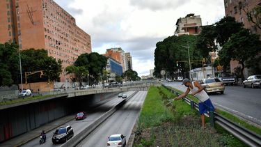 &nbsp; Santos Rodríguez riega su huerto urbano que plantó en un espacio junto a la Avenida Libertador, ubicada frente al edificio de departamentos donde reside en Caracas, Venezuela. Cada vez son más las personas que siembran plantas comestibles en plena capital venezolana para aliviar sus finanzas ante los elevados precios de las hortalizas y frutas.