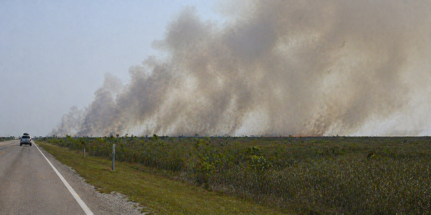 El siniestro, identificado como Highway 41 Fire, se originó el lunes alrededor de las 5:14 p.m. dentro del Parque Nacional Everglades.