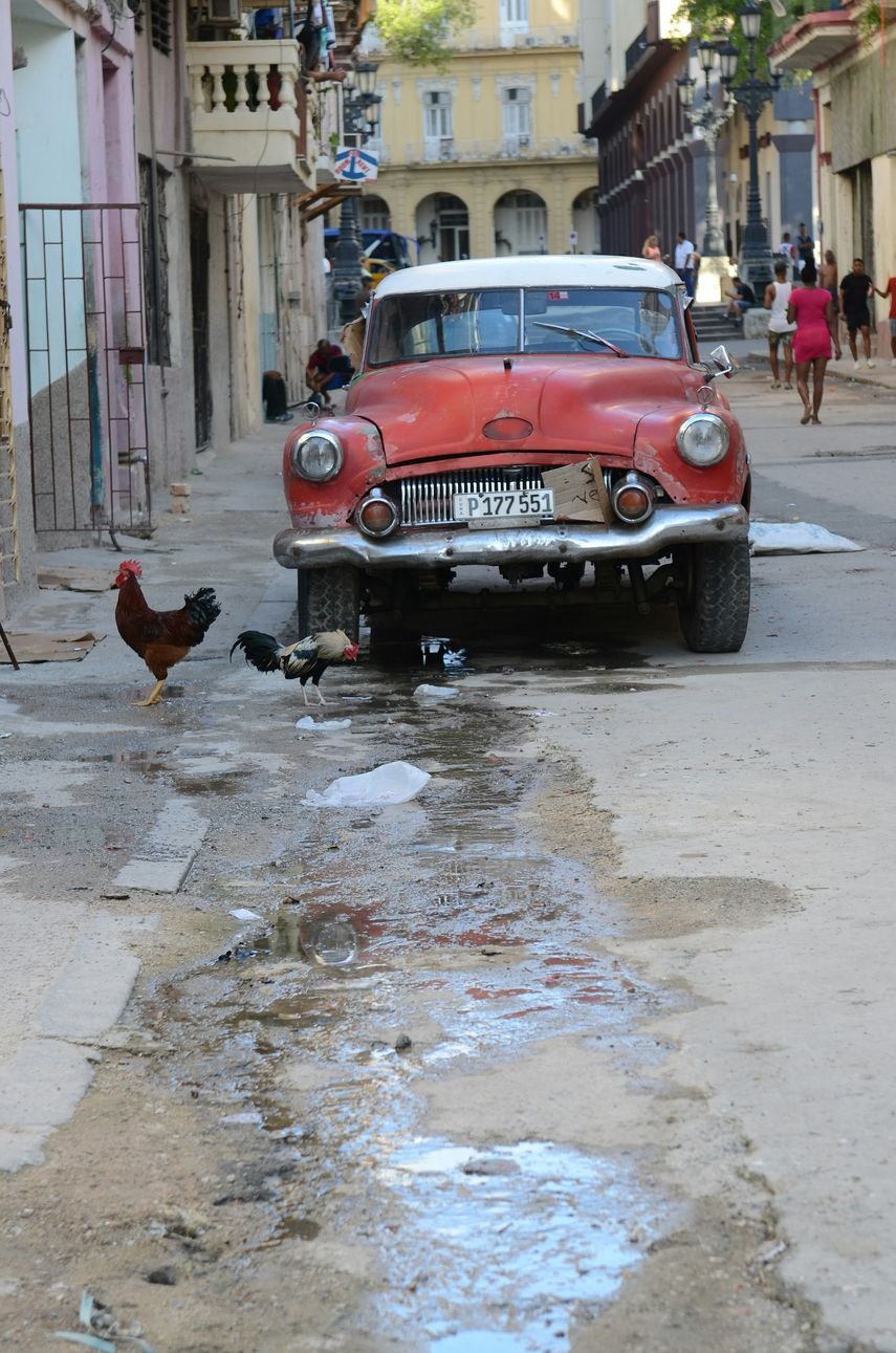 Imagen referencial.&nbsp;