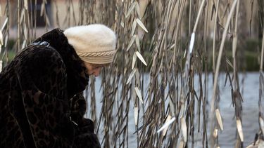 Una mujer se para en el árbol conmemorativo de Emanuel, un árbol de sauce llorón con los nombres de los judíos húngaros asesinados durante el Holocausto.