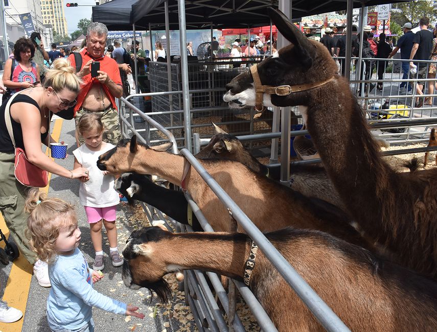 El tradicional evento de Carnaval on the Mile 2024 se lleva a cabo en Coral Gables el 2 y 3 de marzo para ofrecer diversas actividades culturales y recreativas a la comunidad de Miami.