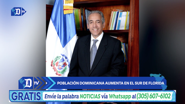poblacion dominicana aumenta en el sur de florida