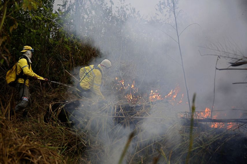 Bomberos combaten un incendio en el Bosque Nacional Jacundá en la región de la Amazonía, Brasil.