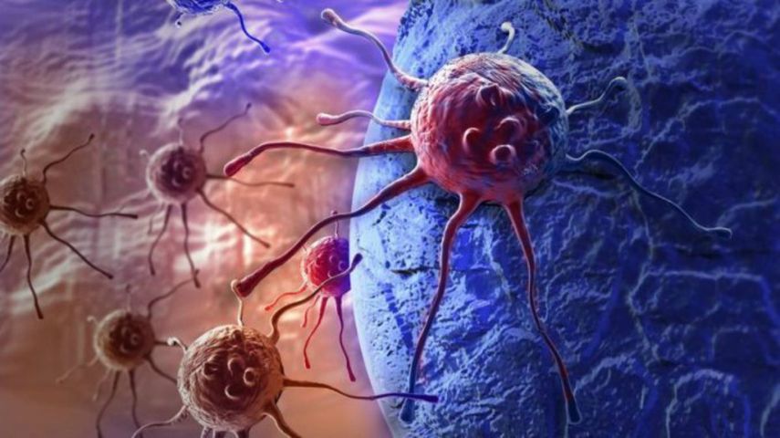 El gen es el PSPC1 y su descripción aparece en la revista Nature Cell Biology,