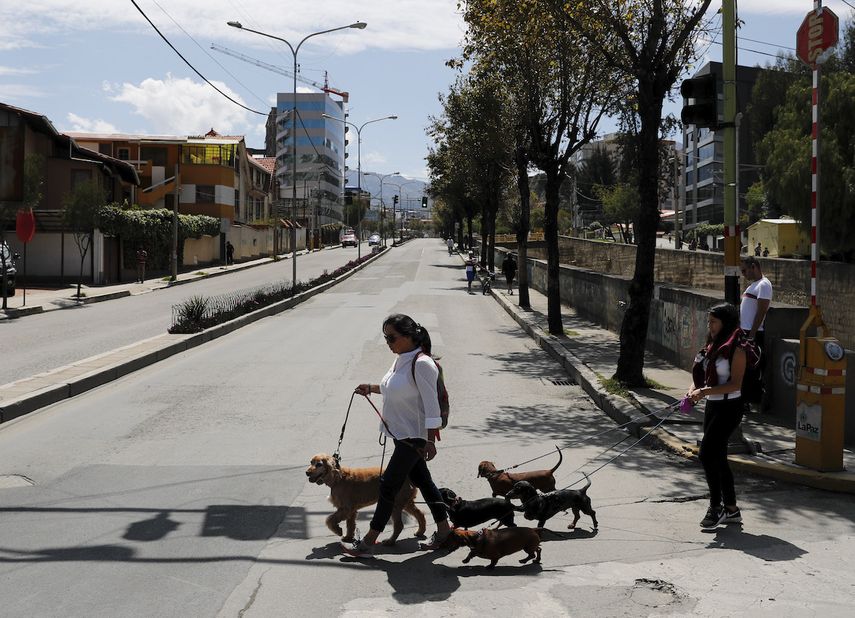 Una mujer pasea a sus perros durante un d&iacute;a de elecciones en La Paz, Bolivia, el domingo 20 de octubre de 2019
