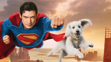 Superman y Best Friends Animal Society se unen para ayudar a mascotas.&nbsp;