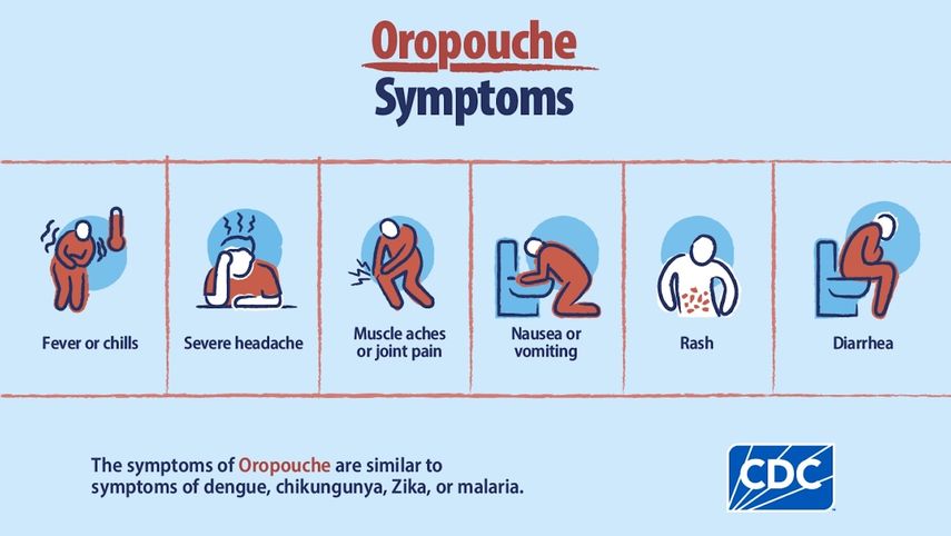 Síntomas del Oropouche.&nbsp;