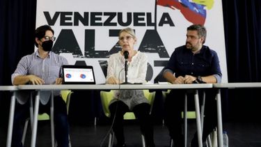Miembros del Observatorio Parlamentario contra el Fraude ofrecen declaraciones a los medios.