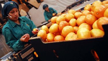 Según datos de la Organización Internacional del Trabajo (OIT), la tasa de participación de las mujeres en la fuerza laboral de América Latina y el Caribe se ubica en el 49.5%.