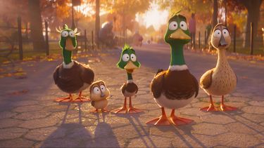La película de Illumination, Migration.