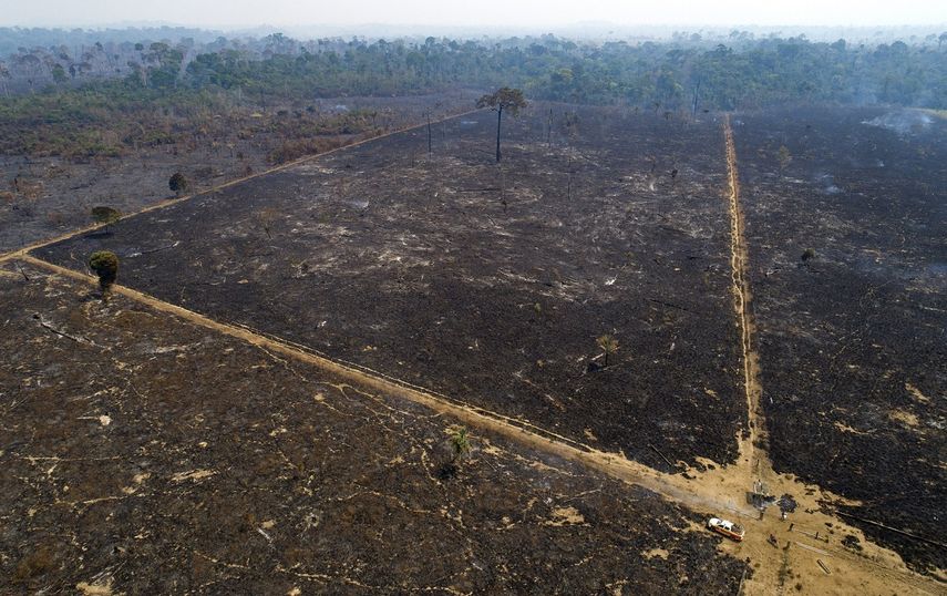 Incendios en la Amazonía continúan en niveles elevados