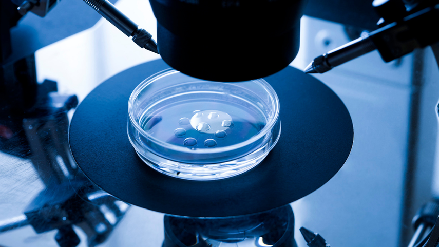 Pareja presenta denuncia tras intercambio de embriones in vitro