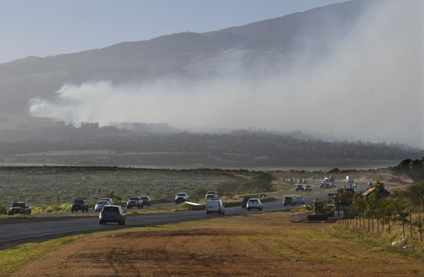 Voraces incendios forestales han destruido la isla de Maui.