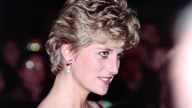 La princesa Diana de Gales aparece en la foto antes de un concierto del oratorio Liverpool de Paul McCartney en Lille el 15 de noviembre de 1992.