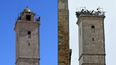 Esta combinación de imágenes muestra una foto tomada el 3 de julio de 2016 del minarete de la mezquita dentro de la ciudadela de&nbsp;Alepo declarada Patrimonio de la Humanidad por la Unesco, y una foto tomada el 6 de febrero de 2023 de la misma torre después de un terremoto.
