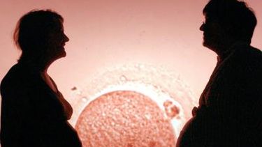 El embrión resultante tendría el ADN nuclear de sus padres y el ADN mitocondrial de la donante. Foto EFE.