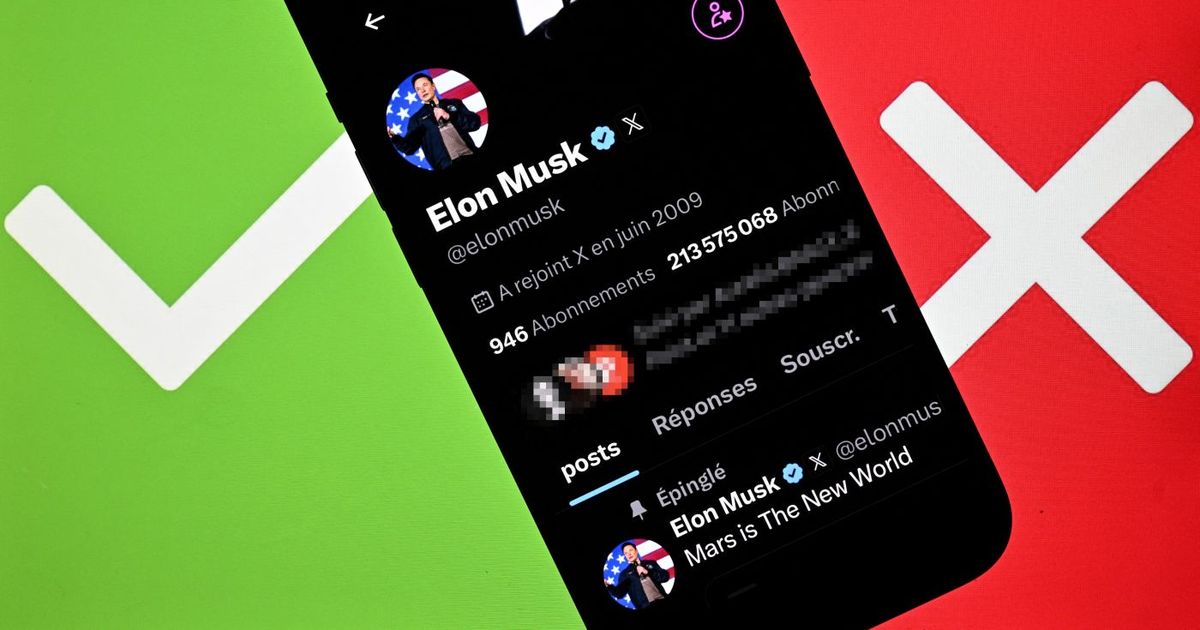 El chatbot Grok de Elon Musk desata tormenta en redes sociales