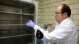 Esta revolucionaria investigación utiliza técnicas como la inmunoprecipitación y el wester blot para saber si el anticuerpo funciona como vacuna o método de diagnóstico.