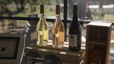 Botellas de vino en un negocio en Le Cannet-des-Maures, Provenza. Los productores europeos de art&iacute;culos pr&eacute;mium como el vino franc&eacute;s enfrentan un aumento de aranceles de Estados Unidos.