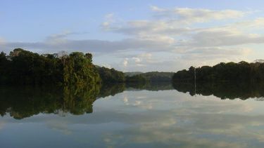 Isla Barro Colorado.&nbsp;