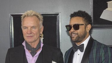Los músicos Sting y Shaggy.