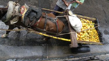 vendedor ambulante en Cuba