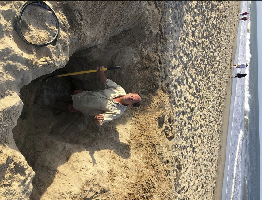 En esta fotografía proporcionada por la localidad de Kill Devil Hills, Carolina del Norte, David Elder, supervisor de rescate en el océano, permanece de pie el domingo 15 de mayo de 2022 en un agujero en la playa.