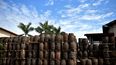 En esta foto de archivo tomada el 9 de marzo de 2018, los barriles de madera utilizados para añejar el ron Havana Club se apilan en la destilería San José de Havana Club. El saber de los maestros roneros de Cuba fue agregado a la lista del patrimonio inmaterial de la Unesco el 30 de noviembre de 2022.