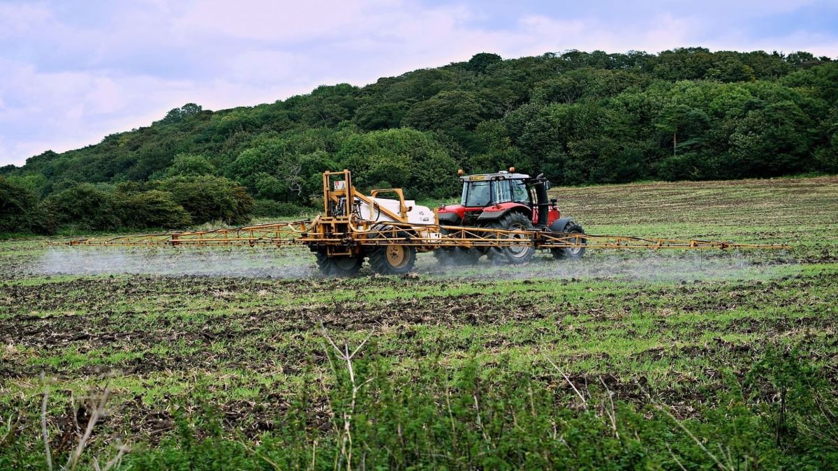 Tractor realiza riego de fertilizantes en campos de siembra. Tractor realiza riego de fertilizantes en campos de siembra.