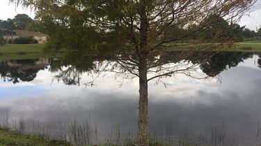 Lago en el que la policía de Port Lucie halló el cadáver de Chelsea Noel, la niña autista desaparecida 24 horas antes.