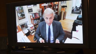 El especialista en enfermedades infecciosas doctor Anthony Fauci declara por videoenlace en una audiencia virtual de la Comisi&oacute;n de Salud del Senado en el Congreso, Washington, martes 12 de mayo de 2020.&nbsp;