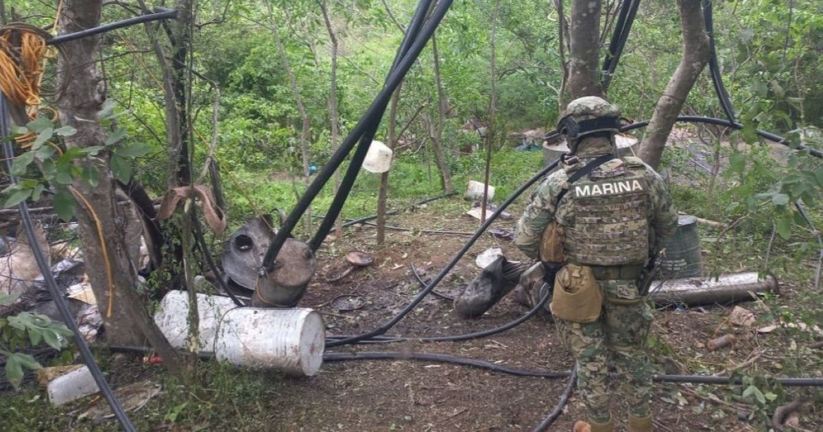 Incautan 21 toneladas de metanfetamina en dos laboratorios clandestinos de México