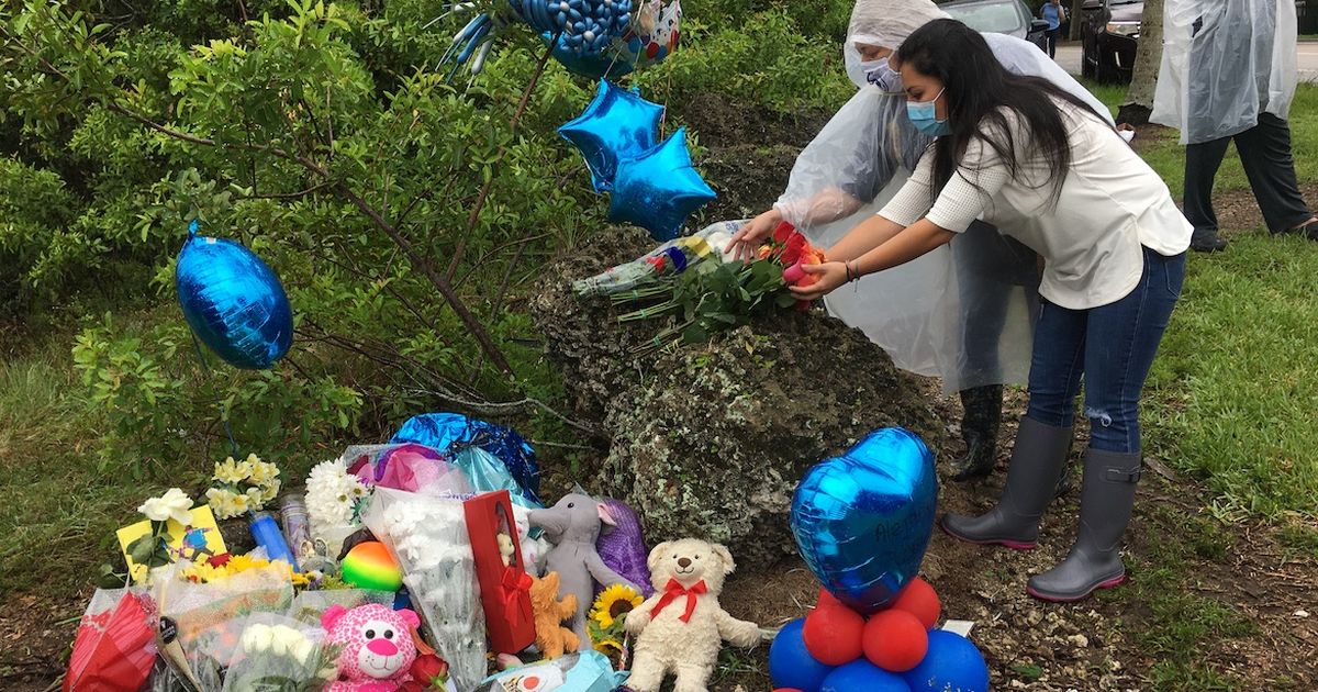 Alejandro Ripley La muerte del niño Alejandro Ripley dispara las alarmas