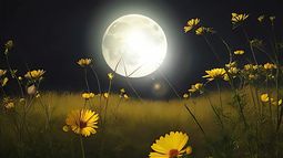 Imagen de la Luna llena en temporada primaveral Imagen de la Luna llena en temporada primaveral