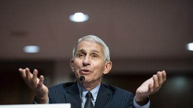 Doctor Anthony&nbsp;Fauci, asesor m&eacute;dico de la Casa Blanca.