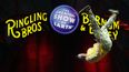 Un payaso del circo Ringling Bros. and Barnum & Bailey hace una voltereta durante una presentación el 14 de enero de 2017 en Orlando, Florida.
