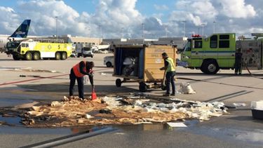 Funcionarios del Broward Sheriff Fire Rescue se encargaron de&nbsp;limpiar el exceso de combustible.