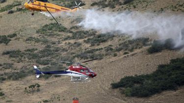 Estadounidense provoca incendio forestal al intentar quemar una araña