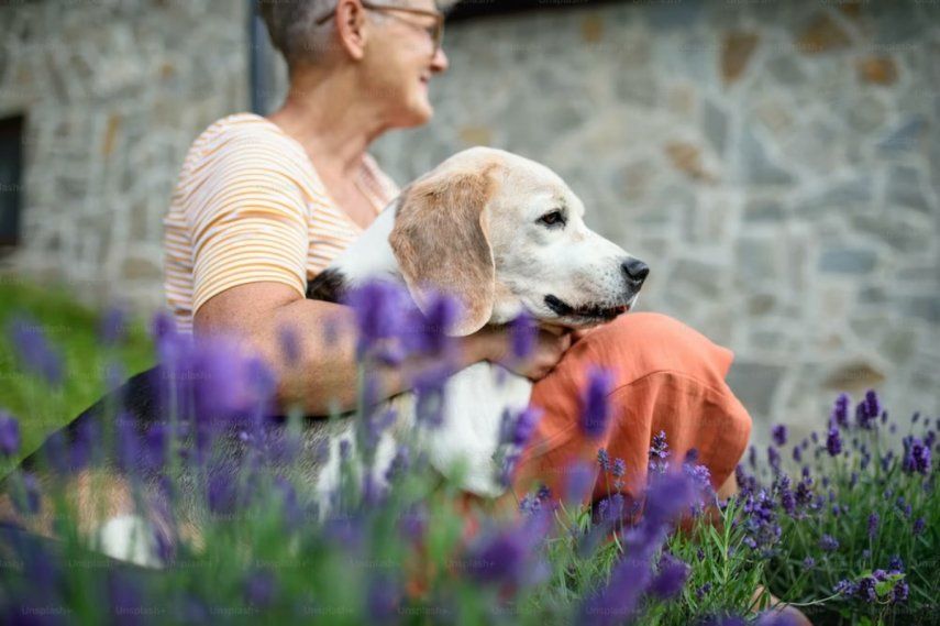 La compañía de las mascotas ayuda a mejorar la memoria de las personas mayores